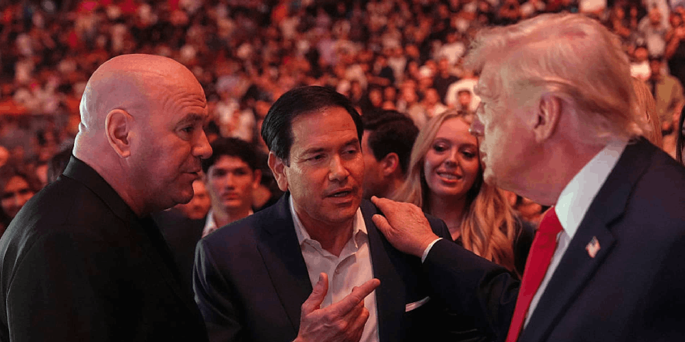 This Week's Bingos & Busts Feature Dana White, Donald Trump, and a Sports Betting Anniversary